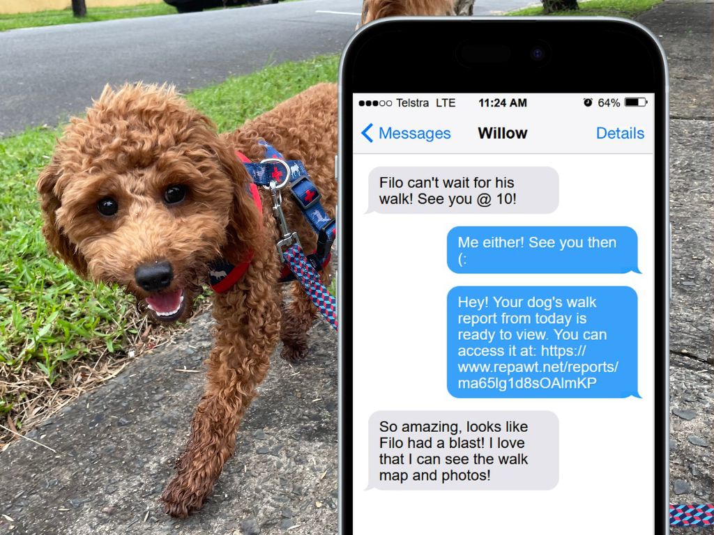 A happy dog on a walk beside a phone showing a Repawt report shared via iMessage